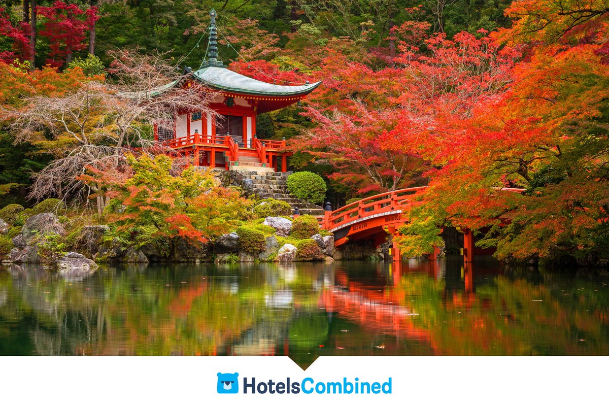 Fancy visiting #Kyoto in your walking shoes? Max recommends a comfy hotel for those tired feet. Save $119/night via hotelscombined.com.au