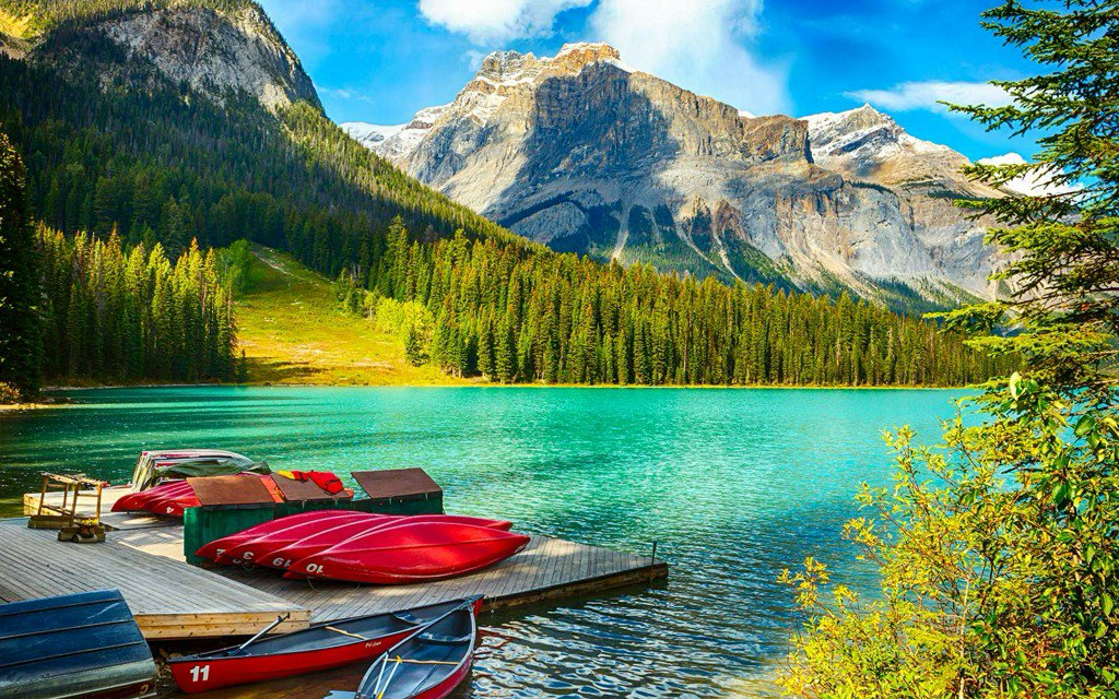 Canadian celebrate <a href="/Canada/">Canada</a> 's 150th birthday. Discover Canada. Book your #Travel now. <a href="/AirCanada/">Air Canada</a> <a href="/canada150th/">Canada 150</a> @CanadaMoments <a href="/ExploreCanada/">Canada</a>
