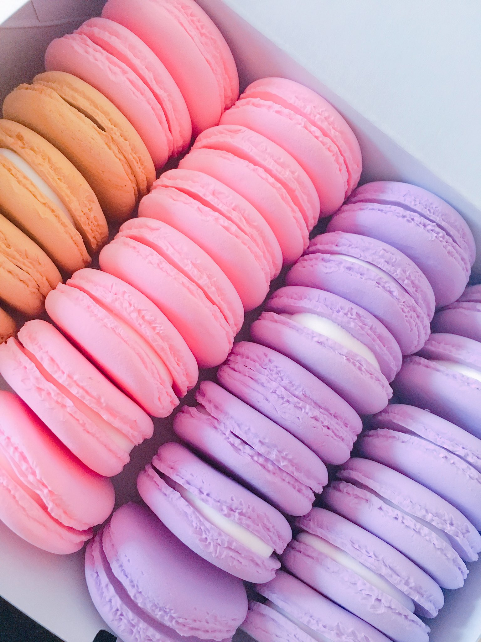 טוויטר ראה את הציוץ של Lf Fraise ב Twitter