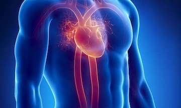LetsFaceItCare's tweet photo. "#HeartAttack Shown to be #SystemicCondition"
https://t.co/CMm9lCSVED   
For the #LatestHealthCareNews https://t.co/RyJBHpF0Lk