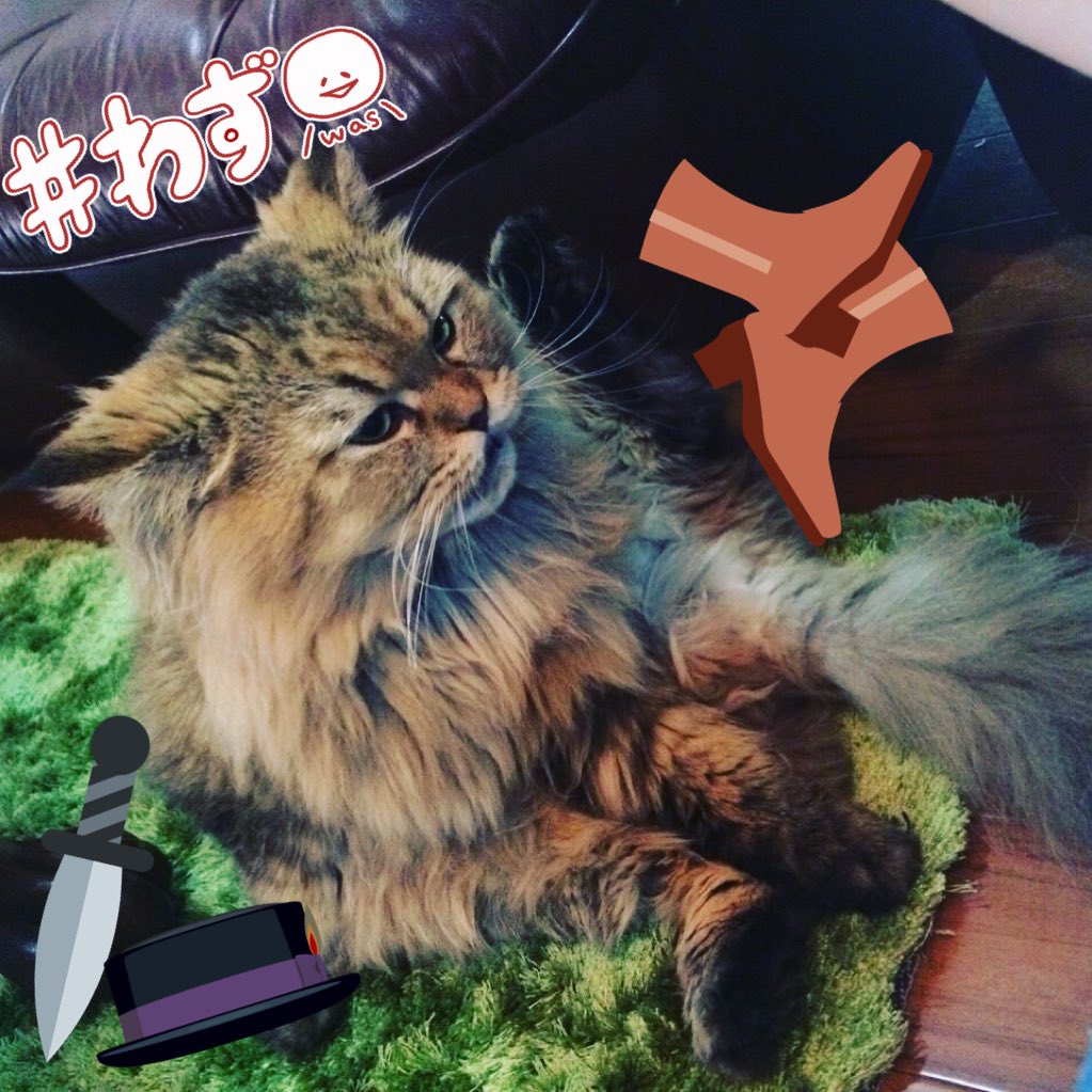 mofuricat's tweet image. 長靴を脱ぎ捨てた猫。
風のティガー😻
絶妙な顔。笑
仕事終わりなのかな😆？ご苦労様です😁🔅
#mofuri  #もふもふにしてやろか  #ながぐつをはいたねこ  #ながぐつ  #ティガー #ねこ #猫 #ネコ #ねこ部 #にゃんこ #かわいい #ねこずきさんとつながりたい