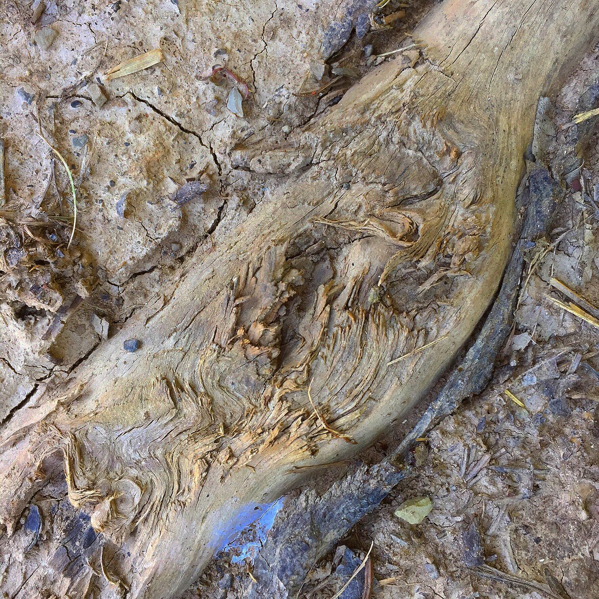 KayMDavid's tweet image. Abstraction