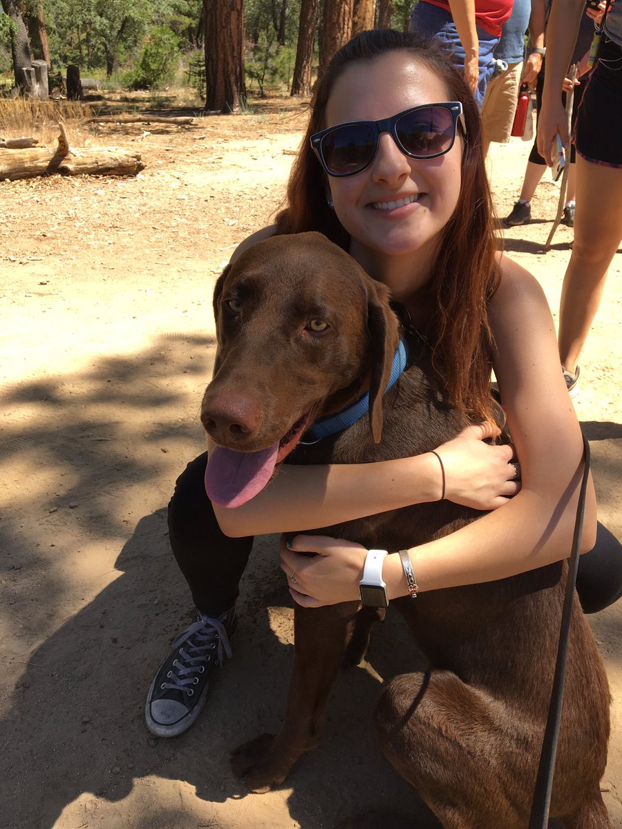 defeatt1d's tweet photo. IM WORKING AT DIABETES CAMP ALL SUMMER AND IM SO EXCITED!!!! https://t.co/xOxOYAeGGX
