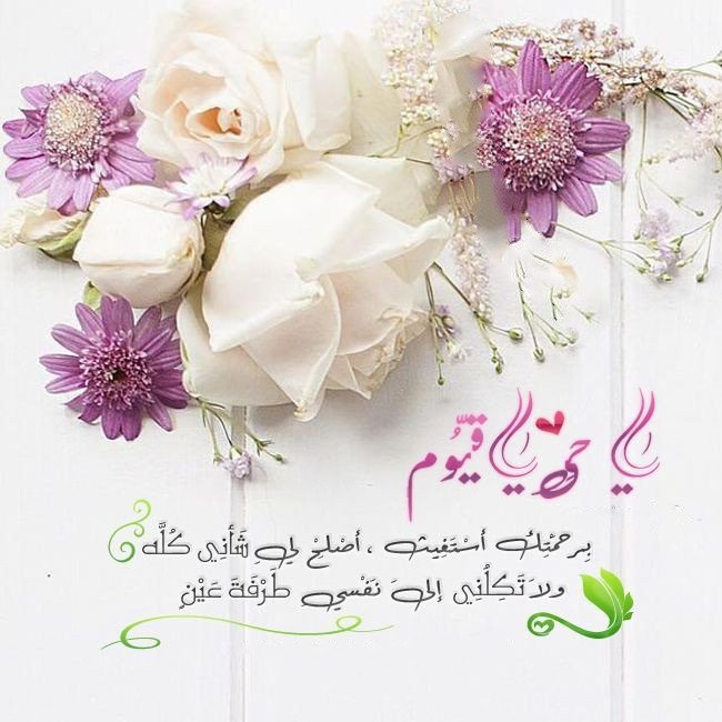 _jud_ali's tweet photo. @9mcCpZp11X0OnXr @m_a_r_o_s_h @Z___Z__9 @sheroofnajjar @Ma_____313 @Ghaima80 @fn_ward @swalfwared @al_oar @sammr3 #صباح_الخير :
“ولولا التوق إلى الغد المُنبثق من جوف
الظلام لما احتملت القلوب الصادقة شيئًا
من كبَد الحياة” https://t.co/hbQ256tRE1