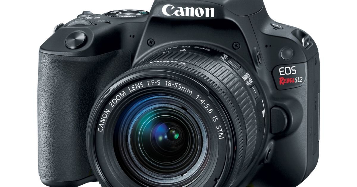Canon's lightweight Rebel SL2 has a much-improved sensor