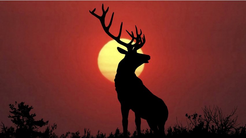 wallhdbg's tweet photo. @wallpaperguides
#wallpaper #hdbackground #animalbg #lockscreenwallpaper #homescreen #qhdwallpaper #neonwallpaper
https://t.co/WbK0V2PvHw https://t.co/d8eIgQfnB9