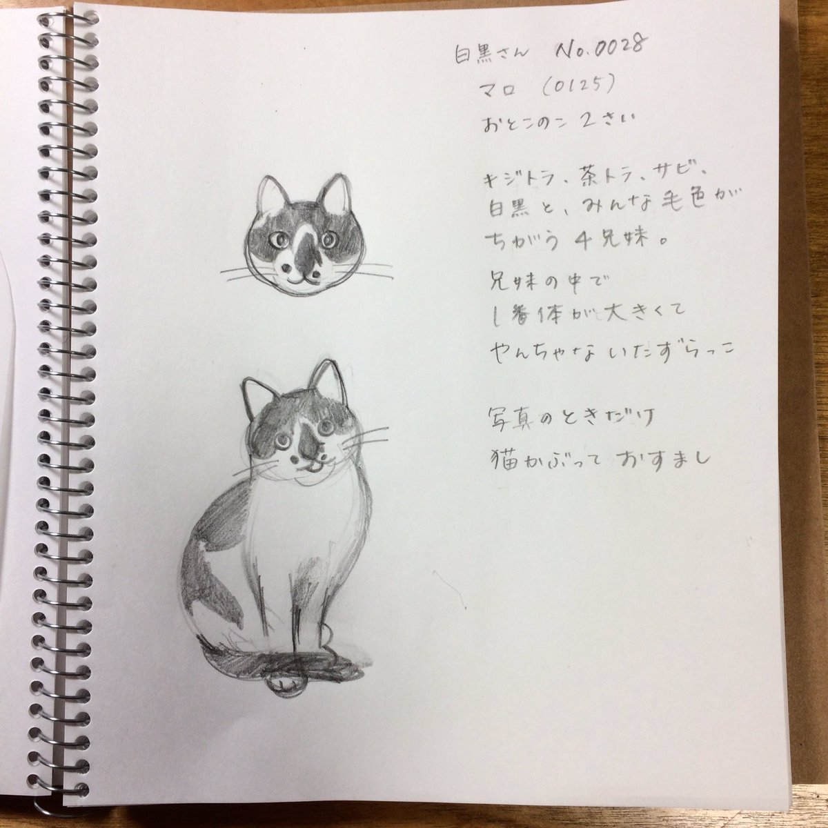 いたずらっ子がおすまししている様子を描きました。 