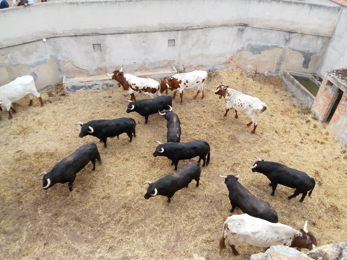 El tío de la lima paso x Segovia...y quieren q paguemos 35€. Así está esto....