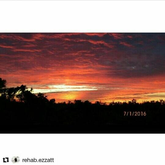 R_ezzatt's tweet photo. #my_pictures
#Aswan_nuba
2016'7 😻
#Camera_phone
#Repost 🙌❤😻 https://t.co/yrQ3x01RGo