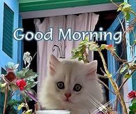 Being with the United Nation is such a big experience....Ofcourse they are trying their possible best to make happiness reign