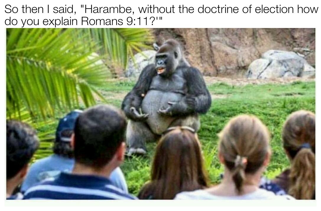 ordinarypastors's tweet photo. Get it right, Harambe https://t.co/5rbvDmqSsl