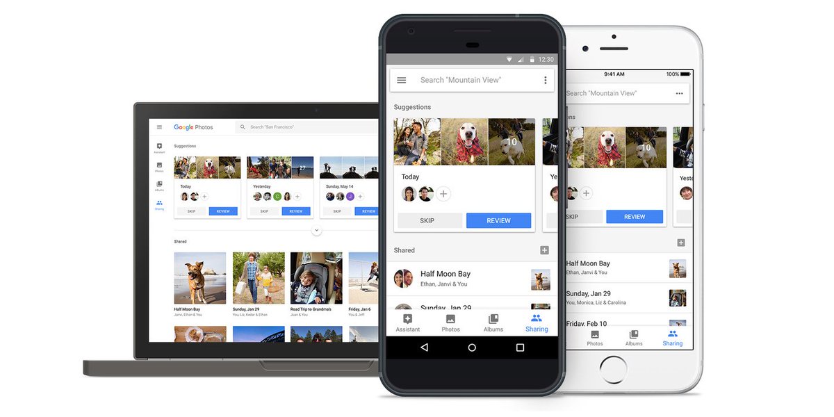stevekrohn's tweet photo. Google Photos’ new sharing features are a bit much, but families might enjoy them https://t.co/6eRDMmoHOz https://t.co/phImJYRiKT