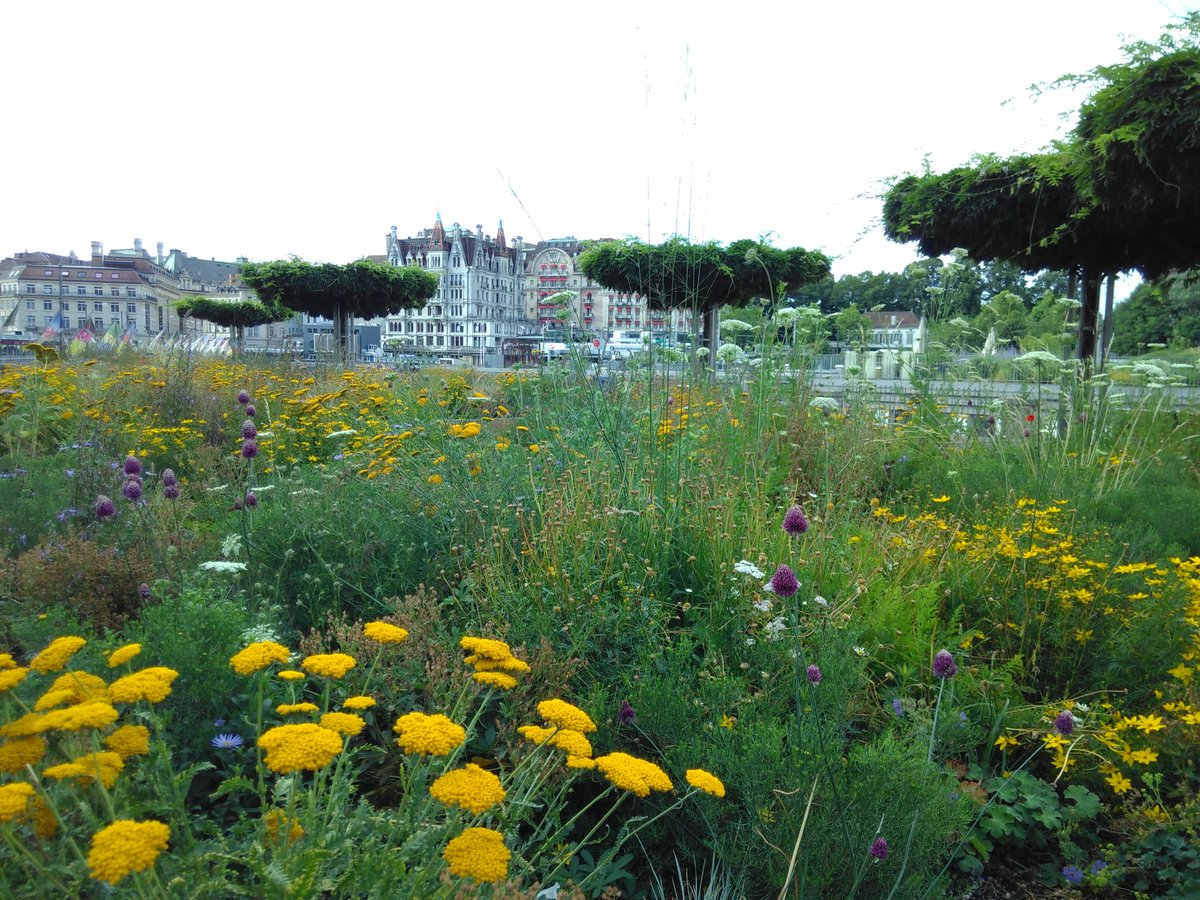 Sophie Conchon tweet media