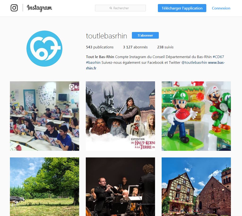 maryne_cv's tweet image. #experiencepro Depuis novembre 2016 : Community manager à @toutlebasrhin - animation quotidienne de Facebook, Twitter, Instagram 📲