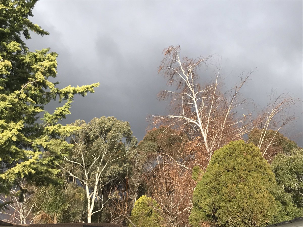 NicoleLThynne's tweet photo. It's looking pretty but very moody outside! #adelaidewinter https://t.co/7edhJDsq5f