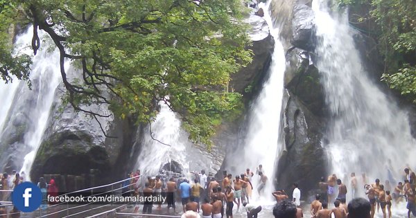 dinamalarweb's tweet image. நெல்லையில் தொடர்மழை - அணைகள் நீர்மட்டம் உயர்வு : குற்றாலத்தில் சீசன் ரம்மியம் #rain #kutralamfalls #season #Nellai bit.ly/2soUU2I