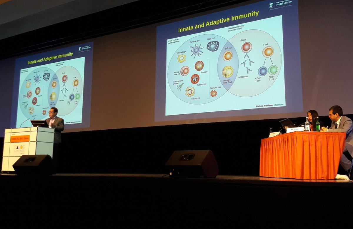 Immodgel Project tweet media