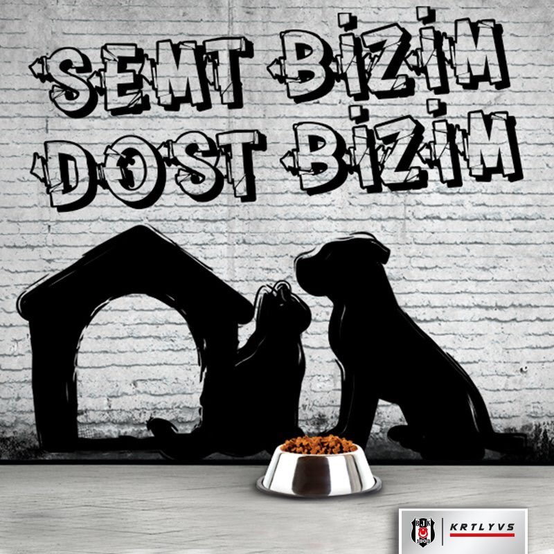 Kartal Yuvası, ‘Semt Bizim Dost Bizim’ kampanyası ile sokak dostlarımıza yardım elini uzatıyor. 
bjk.com.tr/tr/haber/70388/