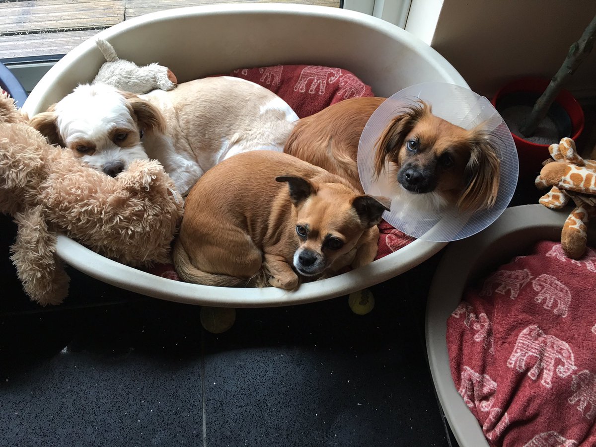 Letitbee's tweet image. 