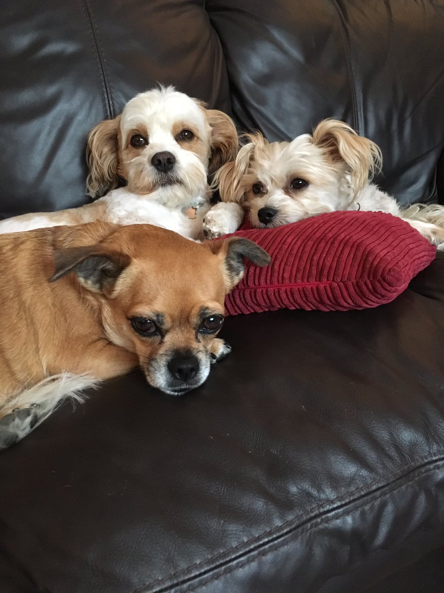 Letitbee's tweet image. 