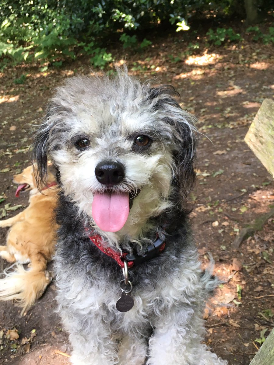 Letitbee's tweet image. 