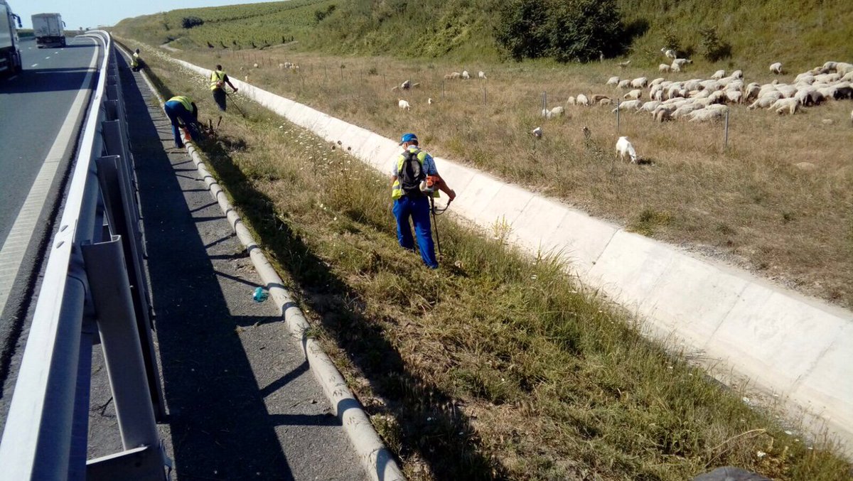 CNADNR's tweet photo. Lucrari de intretinere pe A2 si A4.
DRDP Constanta
#cnair #autostrazi https://t.co/FoNyXiwe98