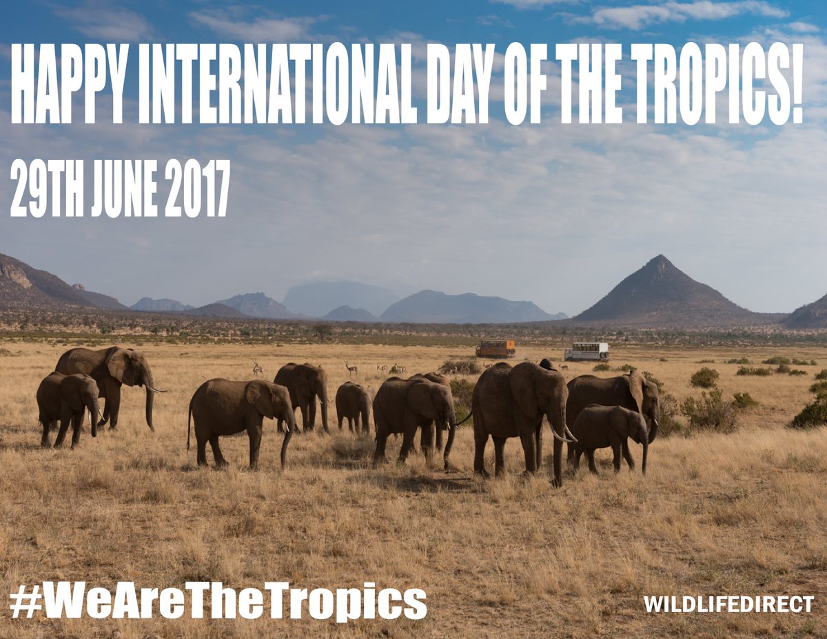 Happy International #TropicsDay ! Tropics account for 40% of world’s  biodiversity! #WeAreTheTropics Learn more> un.org/en/events/trop… 1/2
