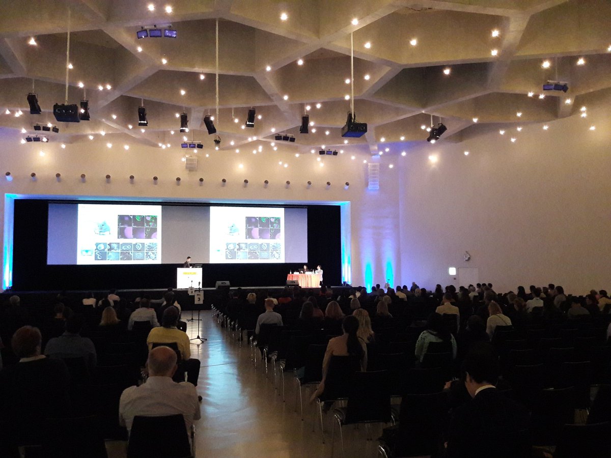 Immodgel Project tweet media