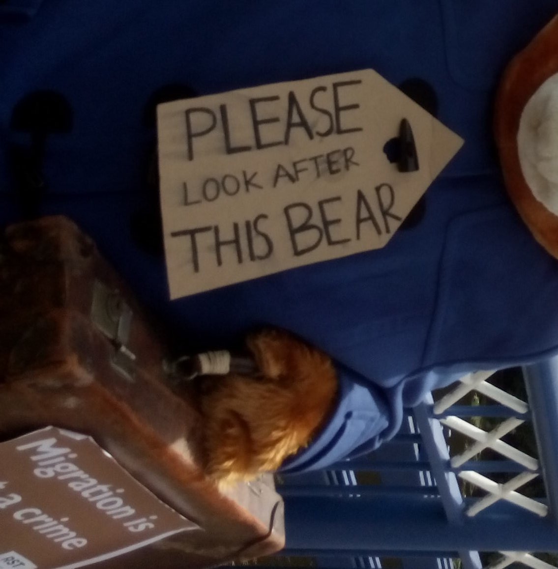 globaljusticegl's tweet photo. UK home office pls look after all migrants, bears and humans alike...sorry to miss last night's #CommunityAlternatives event  @SDVisitors https://t.co/JOMBNPtd36