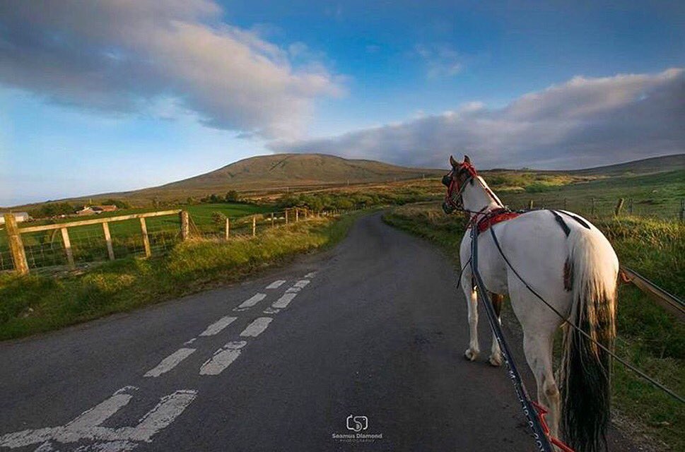 Who loves İrish country side? ✋️💚🇮🇪😍
.
📸 by IG:seamus_diamond132👏🏆✨ #countryside #horse #nature #thursday #tourist #500pxrtg #irish_daily