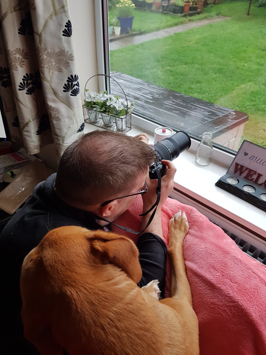 3_Baskervilles's tweet photo. Helping Daddy @PollardRoy take photos obs da birdies....It's berry wet outside AGAIN! ☔☔☔ https://t.co/bRIqAPxQzM