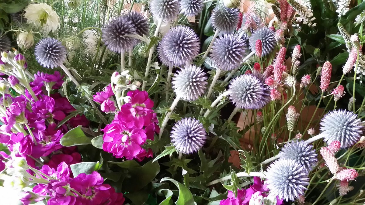 wildnchicflower's tweet photo. Lovely flowers from the market this morning !   @VintageandVeryNice on Saturday or can collect a posy if you call me on Friday 07801310808. https://t.co/gLpQr3cevG