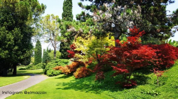 TurismoVeneto's tweet photo. Solo passeggiate all’insegna del #colore qui al #ParcoGiardinoSigurtà! #Verona https://t.co/8S3zdfeuSM #VisitVeneto https://t.co/OxdgNXL3nI