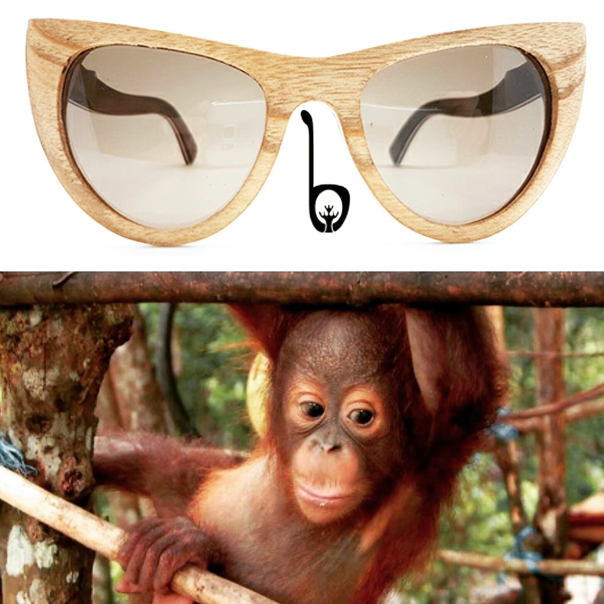 Holiday Season Sale: Meet Miko! Click: borneoeyewear.com/Collection #wearindonesia #wearyourroots #wearborneo #fundraising #CSR #save #orangutans
