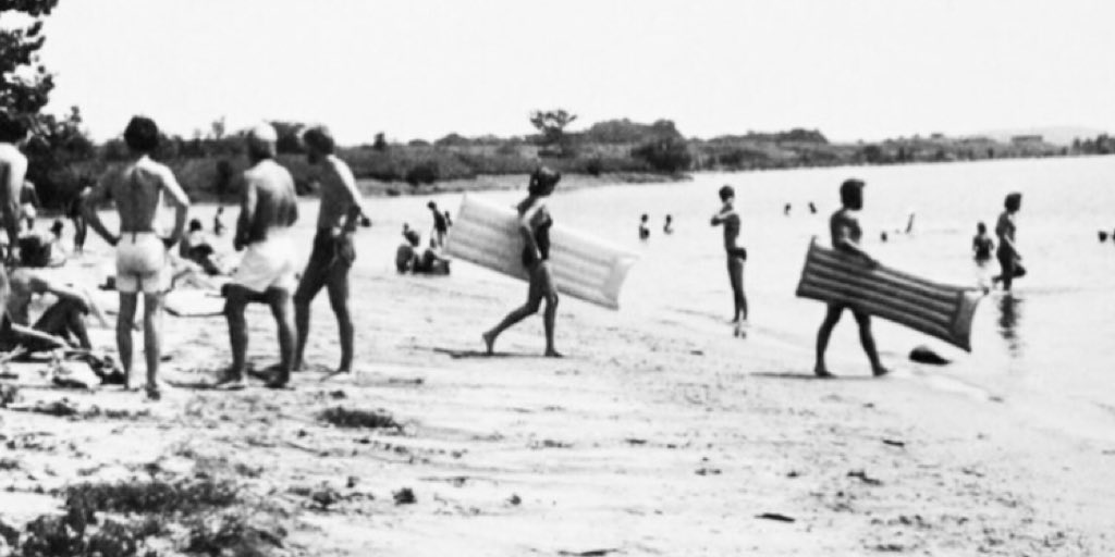 Clemson Student Affairs tweet media