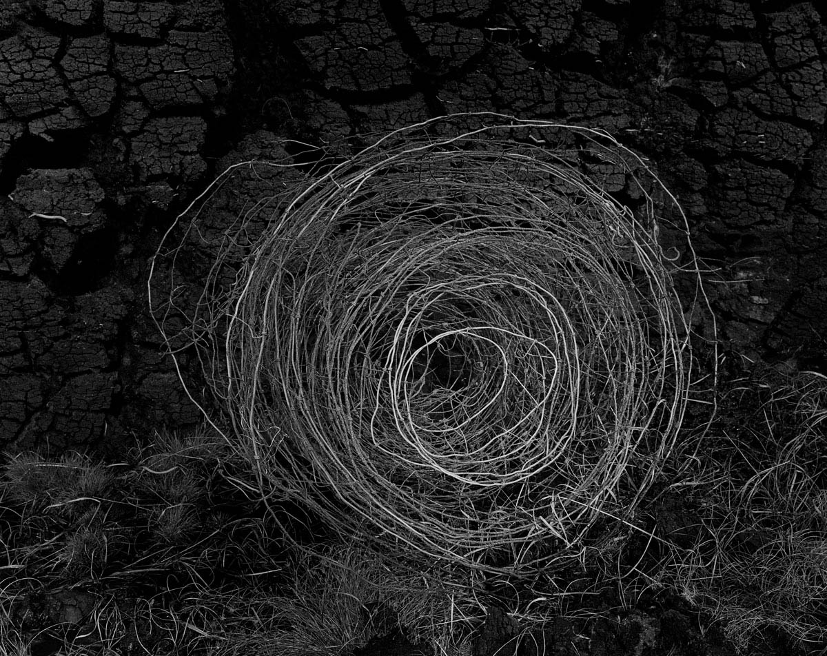 Amelia Stein (@steinamelia) on Twitter photo Sheepwire 2 #photograph by <a href="/SteinAmelia/">Amelia Stein</a> from the bog at Ceathrú Thaidhg, North Mayo <a href="/MayoArtsOffice/">Mayo Arts Office</a> <a href="/MayoDotIE/">Mayo.ie</a> on view <a href="/osearsgallery/">OliverSearsGallery</a> Sheepwire 2 #photograph by <a href="/SteinAmelia/">Amelia Stein</a> from the bog at Ceathrú Thaidhg, North Mayo <a href="/MayoArtsOffice/">Mayo Arts Office</a> <a href="/MayoDotIE/">Mayo.ie</a> on view <a href="/osearsgallery/">OliverSearsGallery</a>