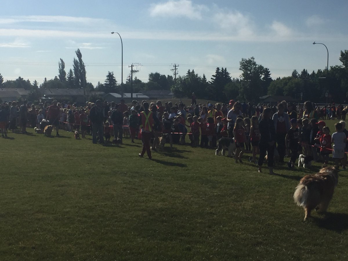 mondstb's tweet photo. #psd70 Great way to start the day at Millgrove-a Pet Parade! https://t.co/ZRY9BxUINk