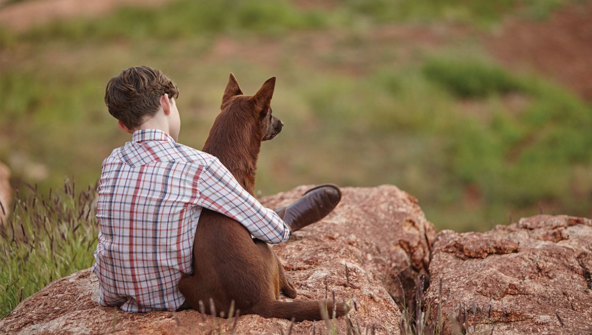 edfilmfest's tweet photo. The first screening of #RedDogTrueBlue, a warm-hearted family tale of a young boy & his dog, is on in 30 @ODEONCinemas
#edfilmfest https://t.co/aSaeX7jNOm