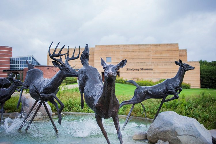 EiteljorgMuseum's tweet photo. Welcome @CGPnational to the Council Summit! Visit during down time to get $2 off admission & 10% off in our store w/ a convention badge. https://t.co/RTxBazTsq0