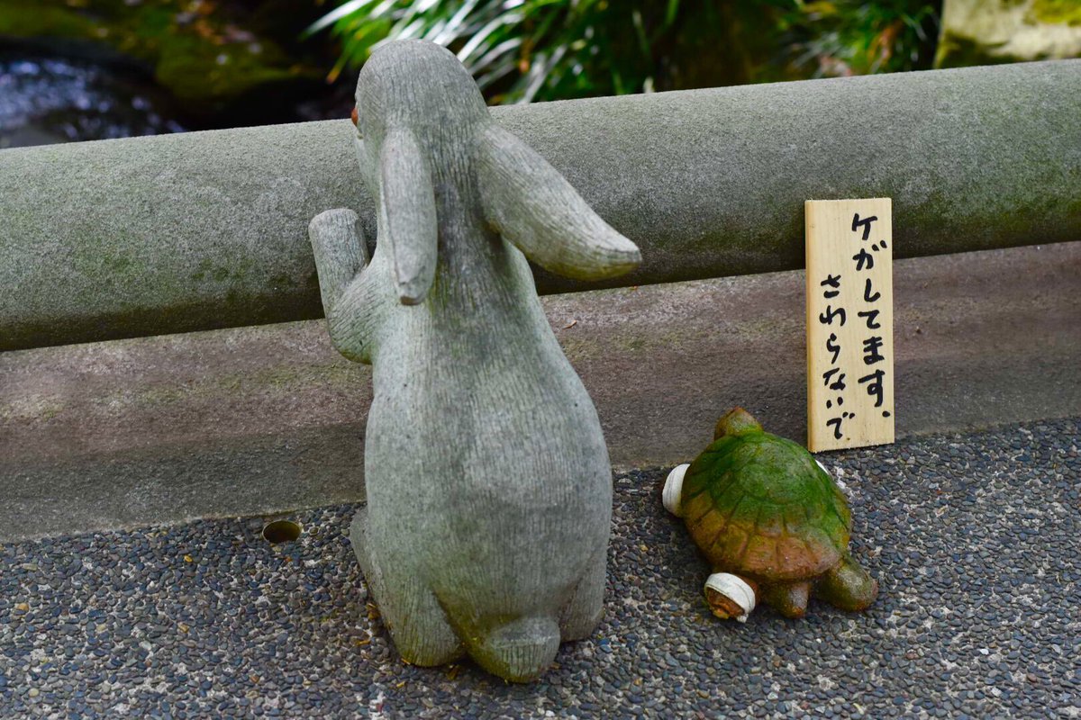 明月院のうさぎと亀 明月院のうさぎと亀