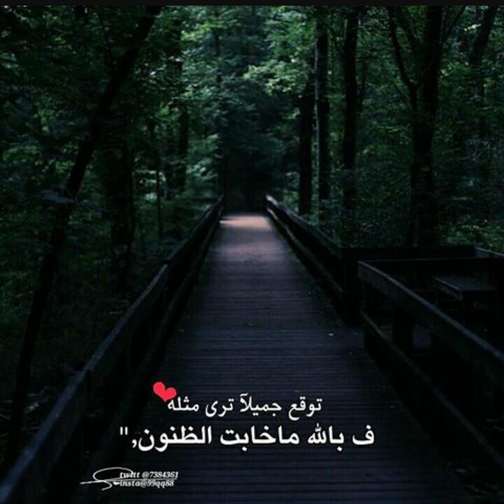 hibaprincess20's tweet photo. مساء الخير❤ https://t.co/jxZ3B1nJ2g