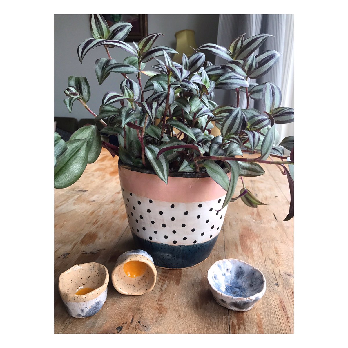 Urchin_Wines's tweet photo. First ceramics made at @clayspacestudio. Plant pot, yolky eggs cups & salt punch pot. I love you Bridget & Ian #nestingfuriously #clayspace https://t.co/sDO3x8hQpD