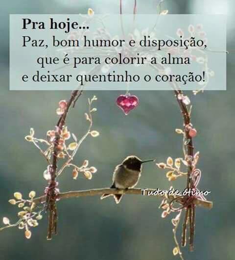 Massue #TIMBETA (@krocatt) on Twitter photo 