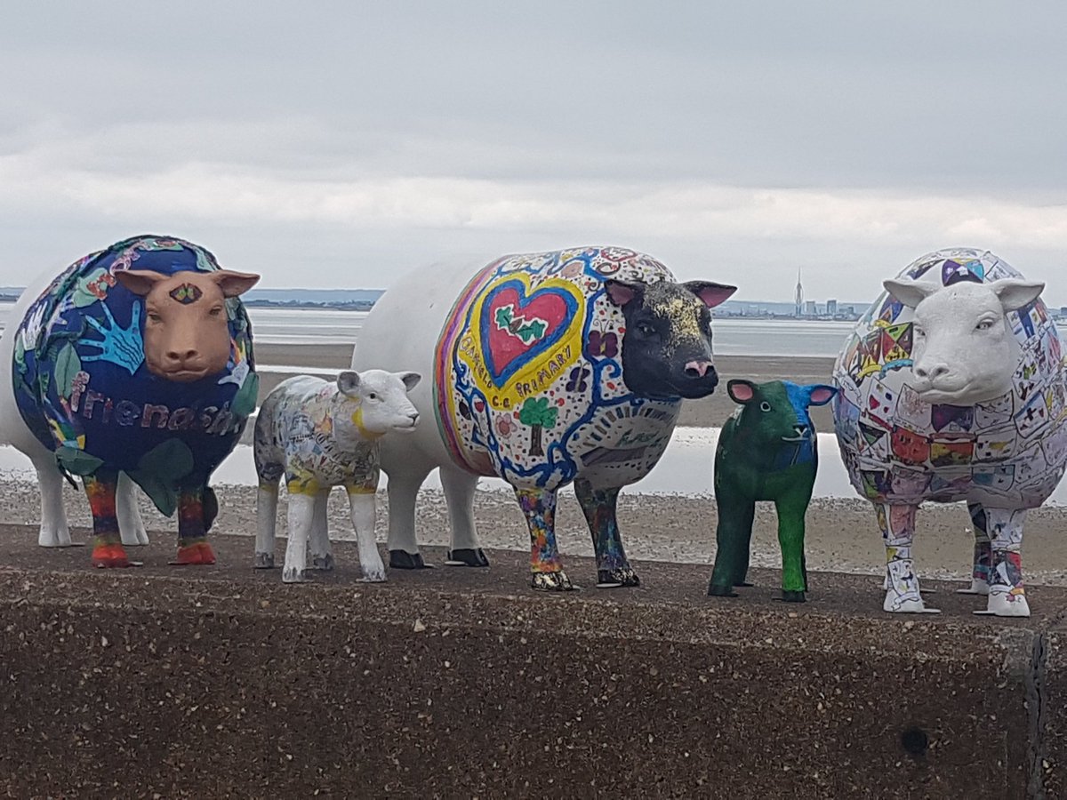 We're a bit early for our <a href="/wightlinkferry/">Wightlink Ferries</a>   so we stopped at the beach. #EweMatter #sheepsailacrossthesolent