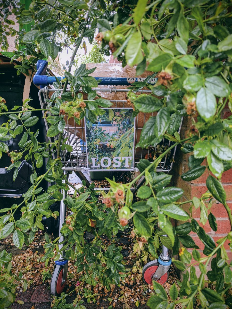 lookagainartist's tweet photo. #lost #LostAndFound #losttrolley #trolleystories https://t.co/RXKwsSdsCo