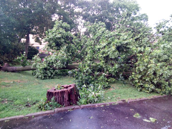 Zobacz obraz na Twitterze