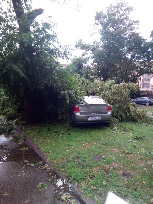 Zobacz obraz na Twitterze