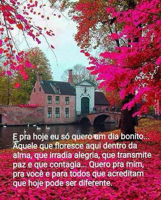 Joaoalvesfasil2's tweet image. I'm at Armarinho Everton Variedades in Belém, Pará w/ @karolinebiih @brudezuani swarmapp.com/c/cQPu4wo53pk