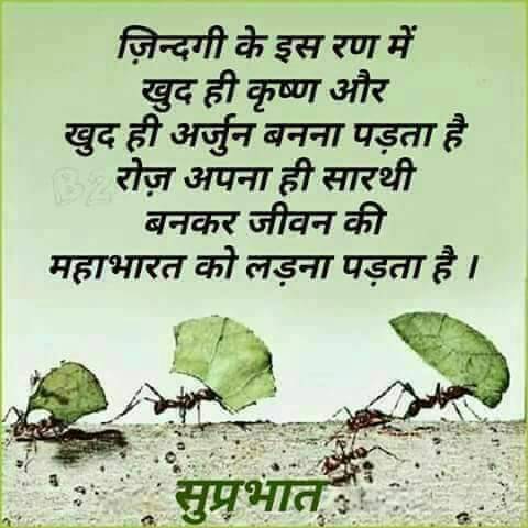 P D Patel tweet media