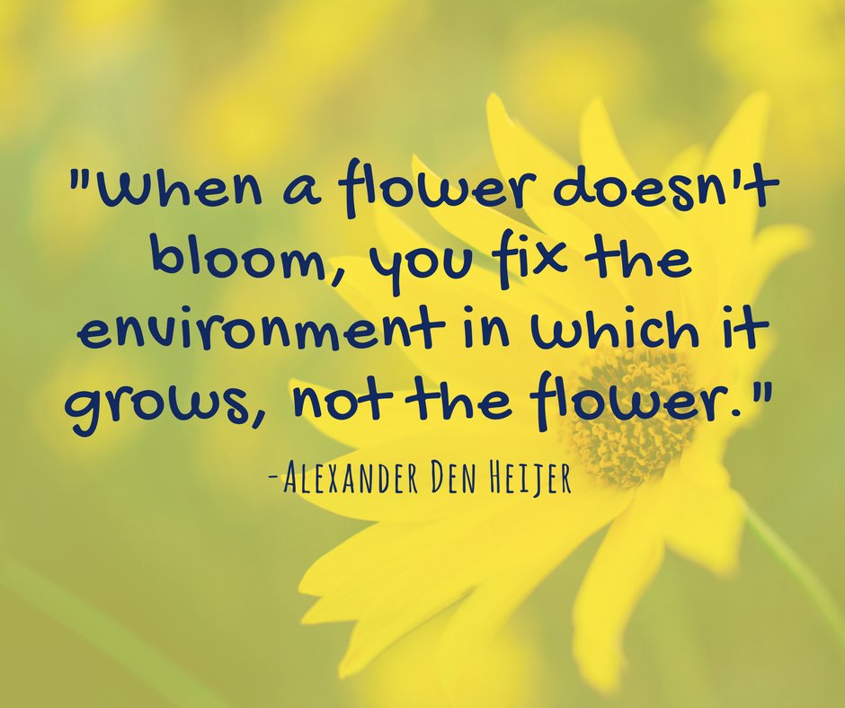 This is what Transformation Education is all about. To learn more about the programs in the TranZed Alliance, visit tranzed.org